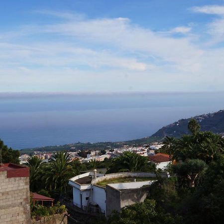 فيلا Casa Teide لا أوروتافا المظهر الخارجي الصورة